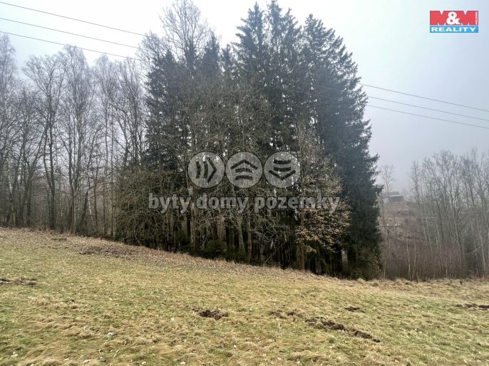 Prodej, Les, Košťálov