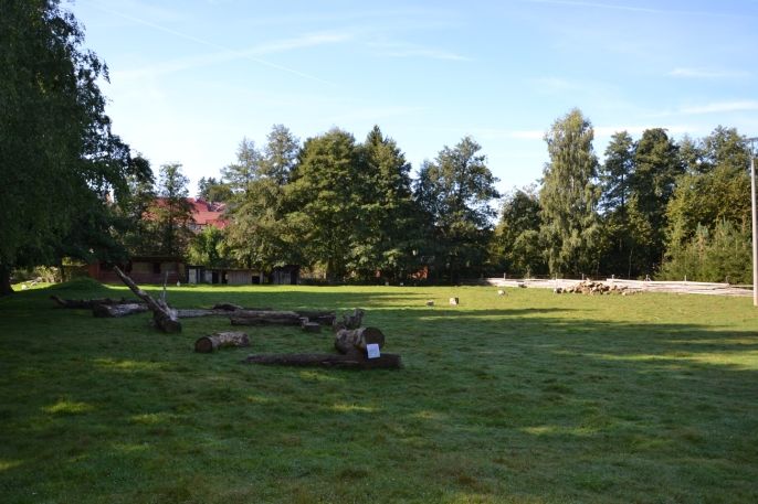 Prodej, Výrobní objekt, Miletín