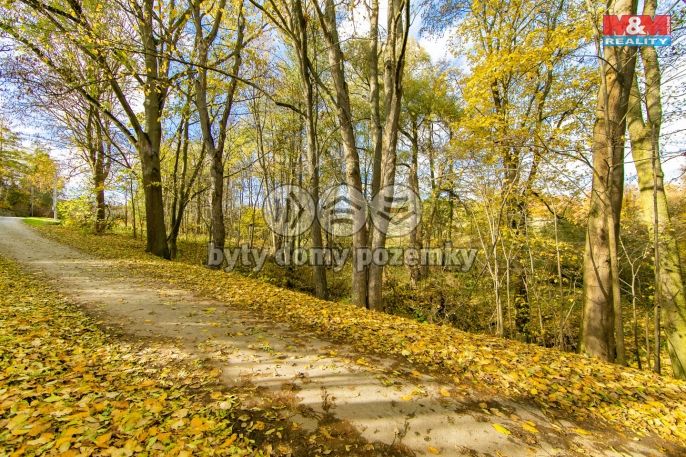 Prodej, Louka, Konstantinovy Lázně