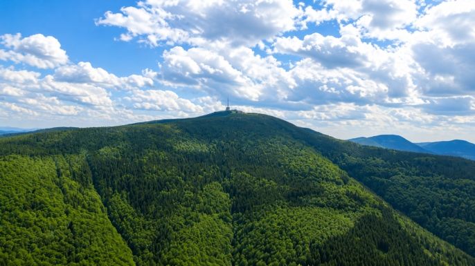 Prodej, Chalupa, Krásná