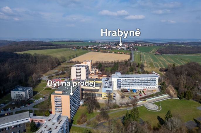 Prodej, Byt 1+kk, Hrabyně