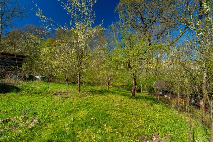 Prodej, Zahrada, Děčín