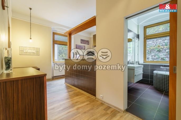 Prodej, Byt 2+1, Karlovy Vary