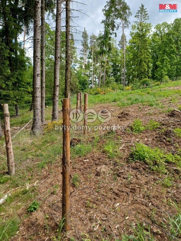 Prodej, Les, Hrazany