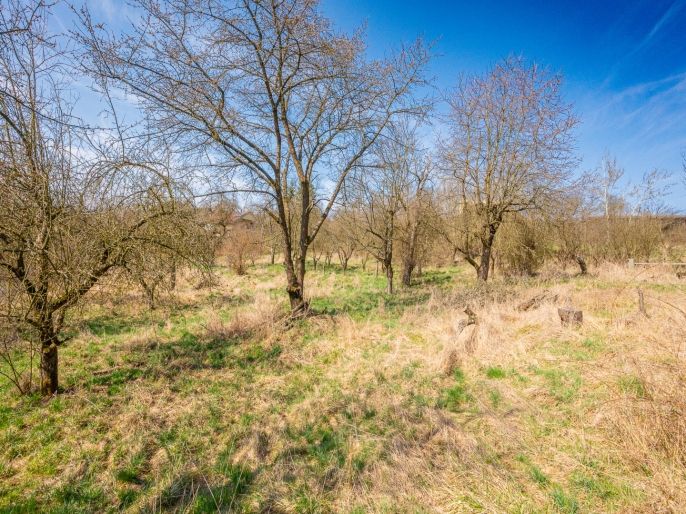 Prodej, Zemědělská usedlost, Křečovice