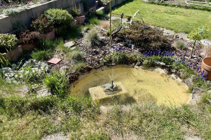 Prodej, Chata, Homole