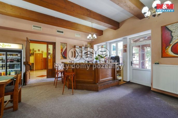 Prodej, Hotel, penzion, Klenčí pod Čerchovem