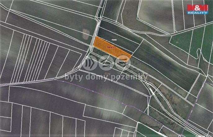 Prodej, Les, Koštice