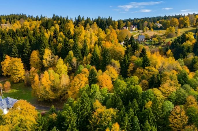 Prodej, Ostatní, Nová Ves nad Nisou