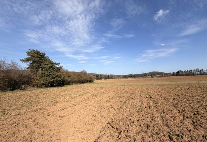 Prodej, Pole, Drevníky