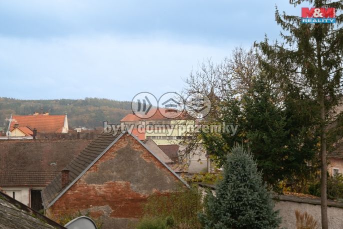 Prodej, Hotel, penzion, Švihov