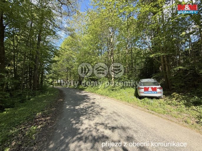 Prodej, Ostatní, Červená Voda