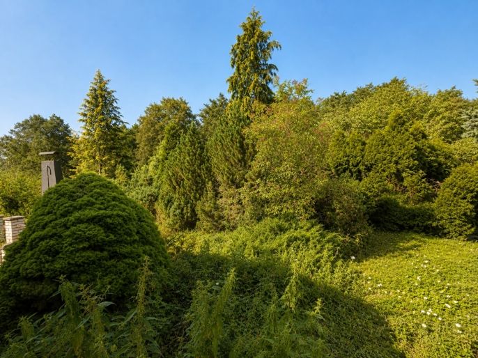 Pronájem, Rodinný dům, Hýskov