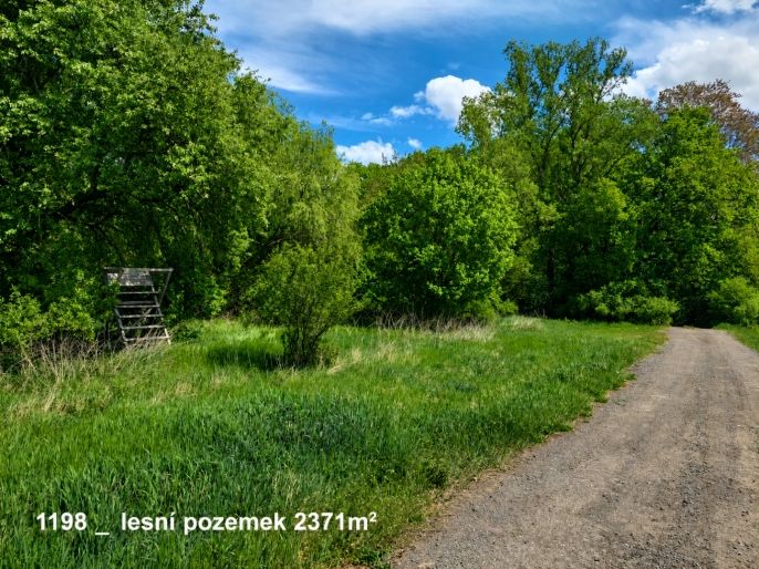 Prodej, Ostatní, Pňov-Předhradí