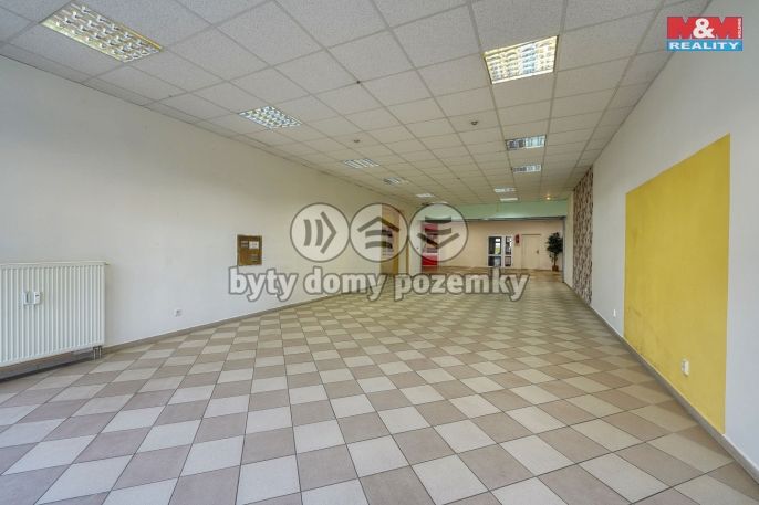 Pronájem, Obchod a služby, Třemošná