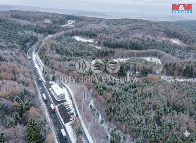 Prodej, Komerční pozemky, Gruna