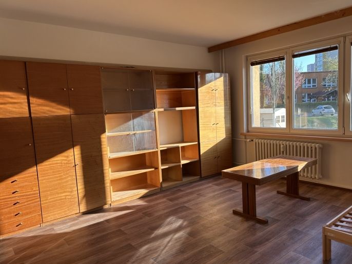 Pronájem, Byt 1+1, Český Těšín