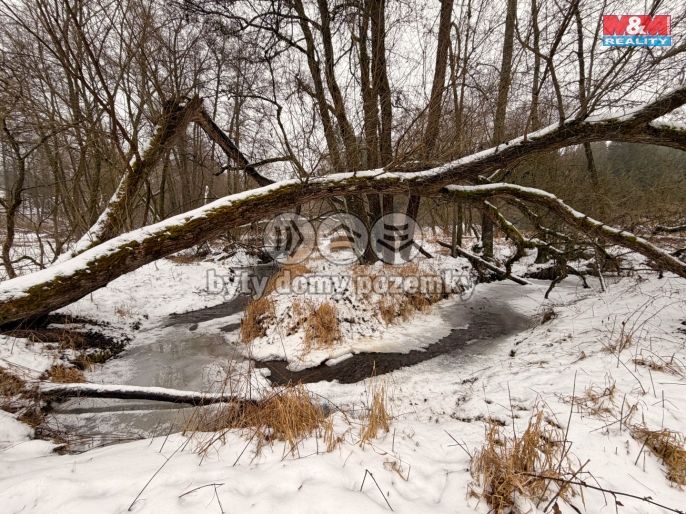 Prodej, Vodní plocha, Dolní Hořice