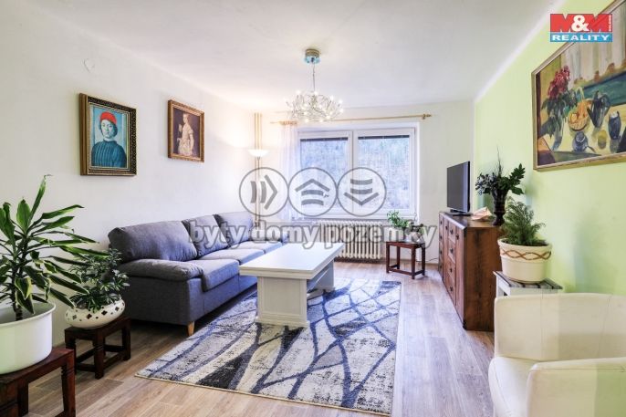 Prodej, Byt 2+1, Solenice