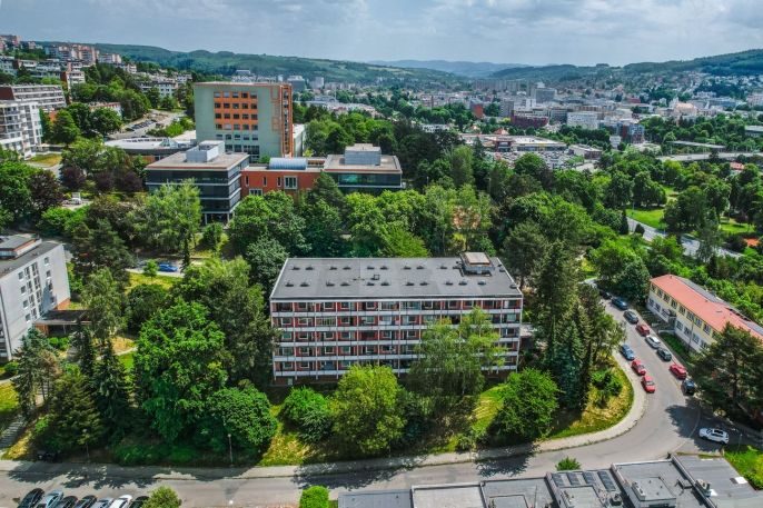 Prodej, Byt 1+kk, Zlín