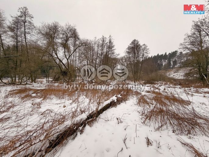 Prodej, Vodní plocha, Dolní Hořice