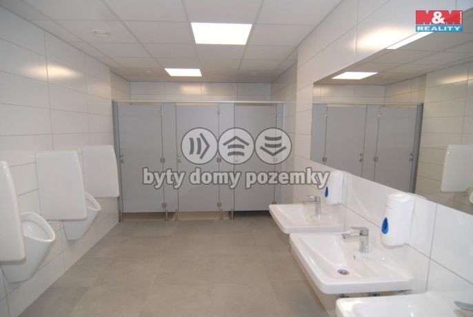 Pronájem, Kancelářský prostor, Ostrava