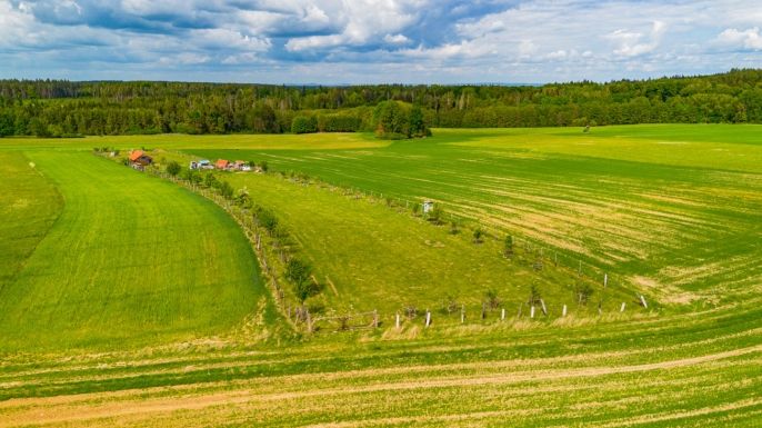 Prodej, Zahrada, Libníč