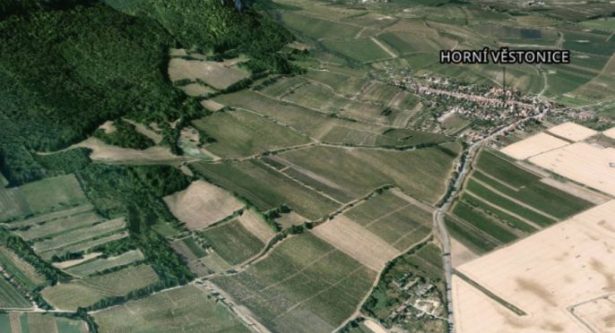 Prodej, Vinice, Horní Věstonice