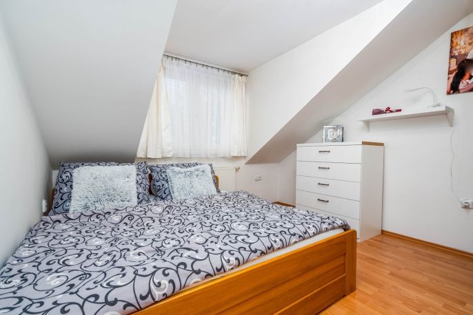 Prodej, Hotel, penzion, Horní Třešňovec