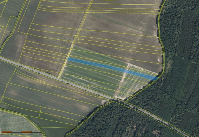 Prodej, Pole, Starý Vestec