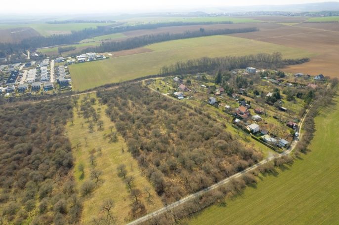 Prodej, Ovocný sad, Želešice