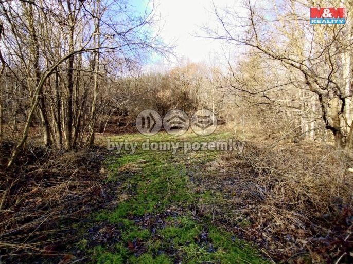 Pronájem, Louka, Slatina