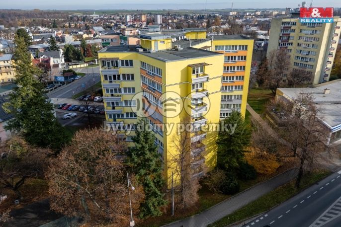 Prodej, Byt 3+1, Opava