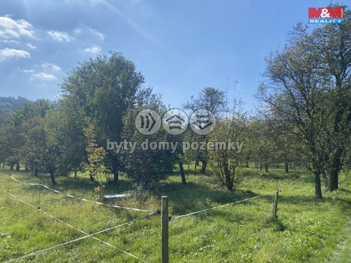 Prodej, Zahrada, Loučka