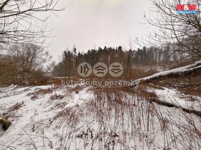 Prodej, Vodní plocha, Dolní Hořice