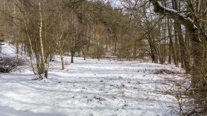 Prodej, Pozemek k bydlení, Křižany