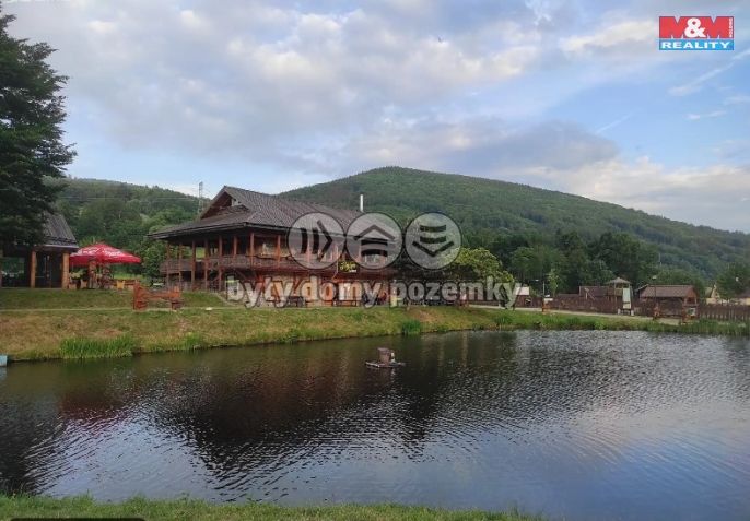 Prodej, Rodinný dům, Loučná nad Desnou