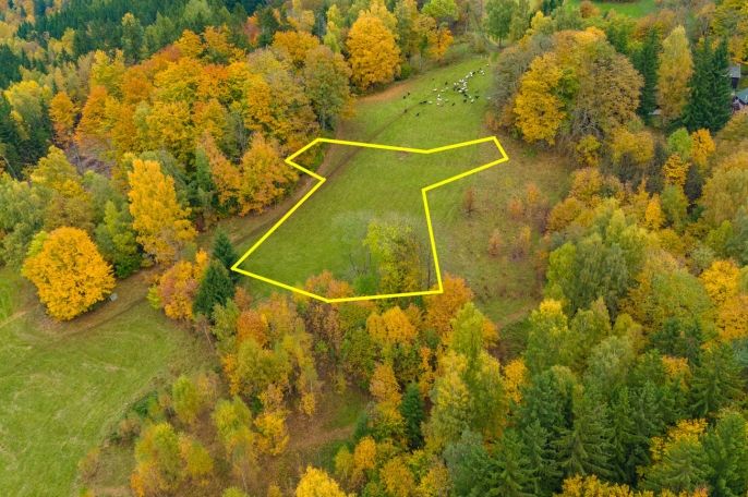 Prodej, Louka, Tanvald