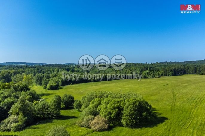 Prodej, Pole, Krásná Lípa