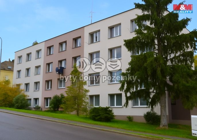 Prodej, Byt 1+kk, 18 m², Písek, Za Pazdernou