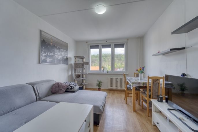 Prodej, Byt 2+1, Kryry
