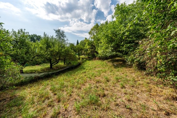 Prodej, Zahrada, Děčín