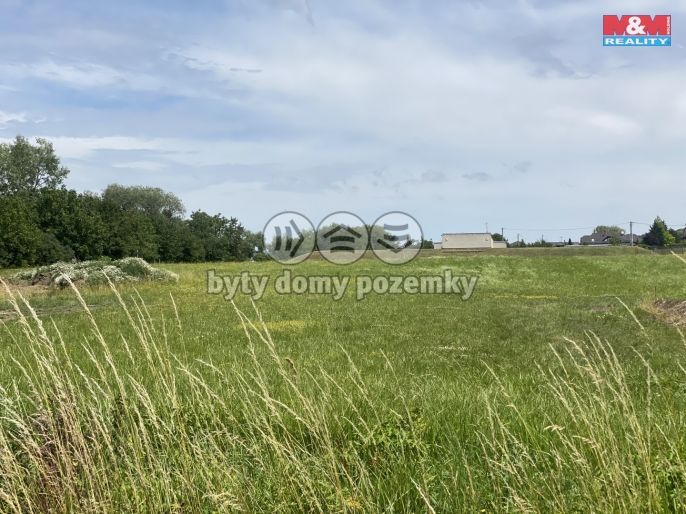 Prodej, Pole, Spělkov