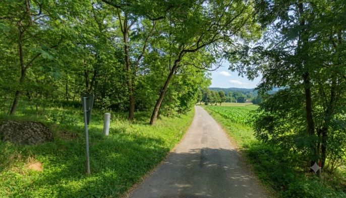 Prodej, Pole, Petrovice