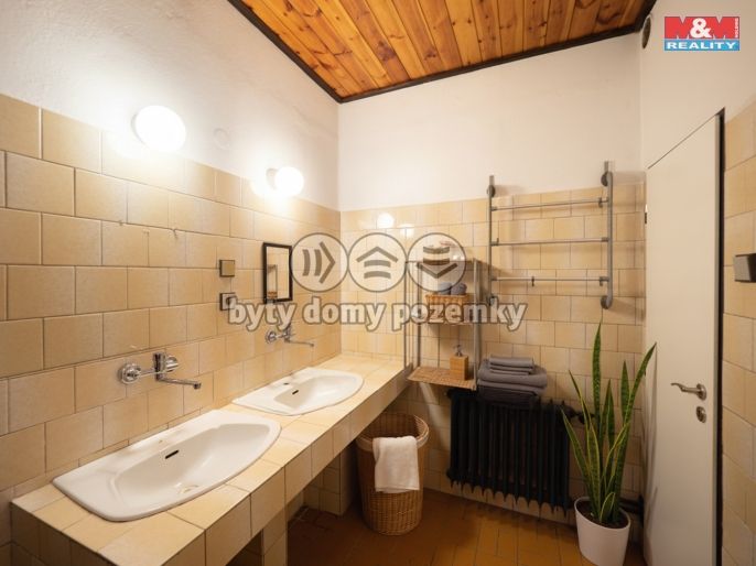 Prodej, Rodinný dům, Želízy