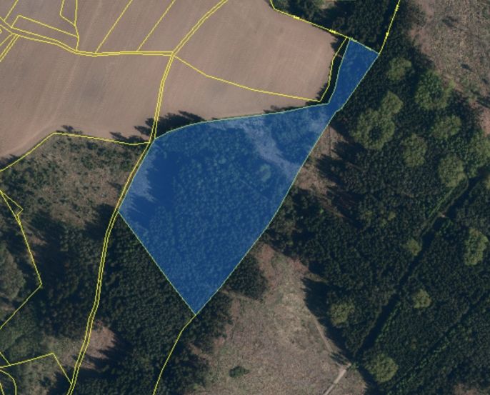 Prodej, Les, 34642 m², Bohdalov