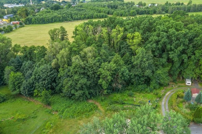 Prodej, Ostatní, Varnsdorf