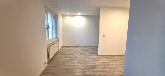 Prodej, Byt 1+kk, Davle