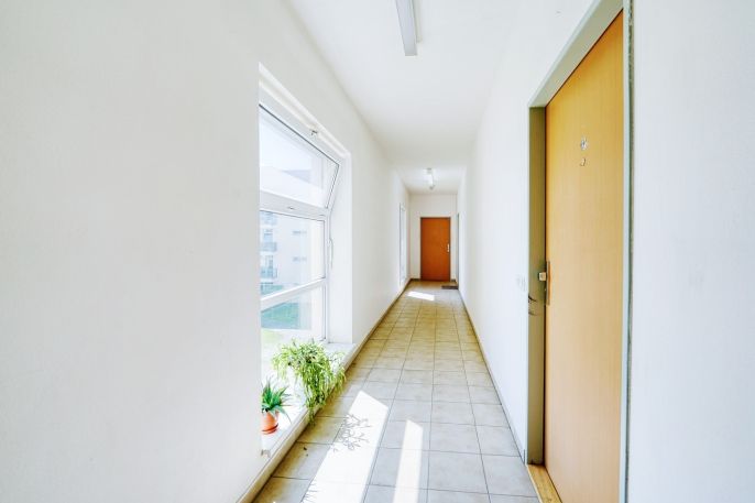 Pronájem, Byt 2+kk, Plzeň