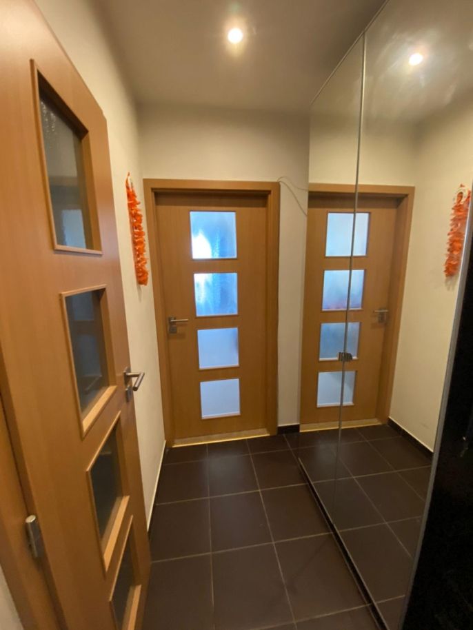 Pronájem, Byt 1+kk, Ostrava